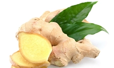 Kök Zencefil Kullanımı ve Faydaları Nelerdir? Kök Zencefil Kullanımı ve Faydaları Nelerdir?